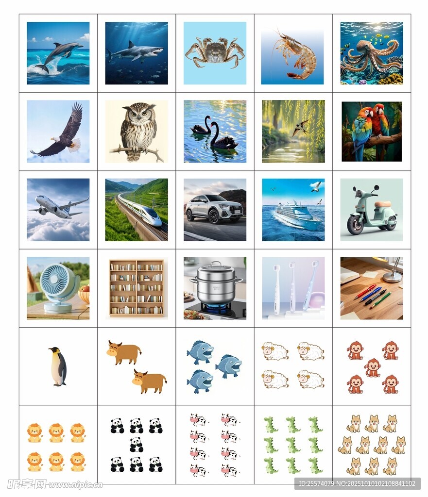 多樣動物海洋生物圖片集