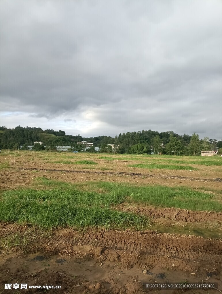 田野上空的陰沉云層