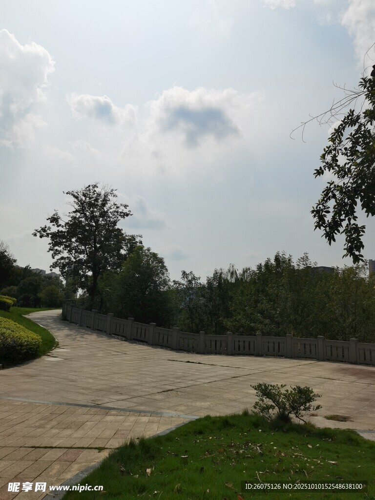 戶外開闊的草地與道路景觀
