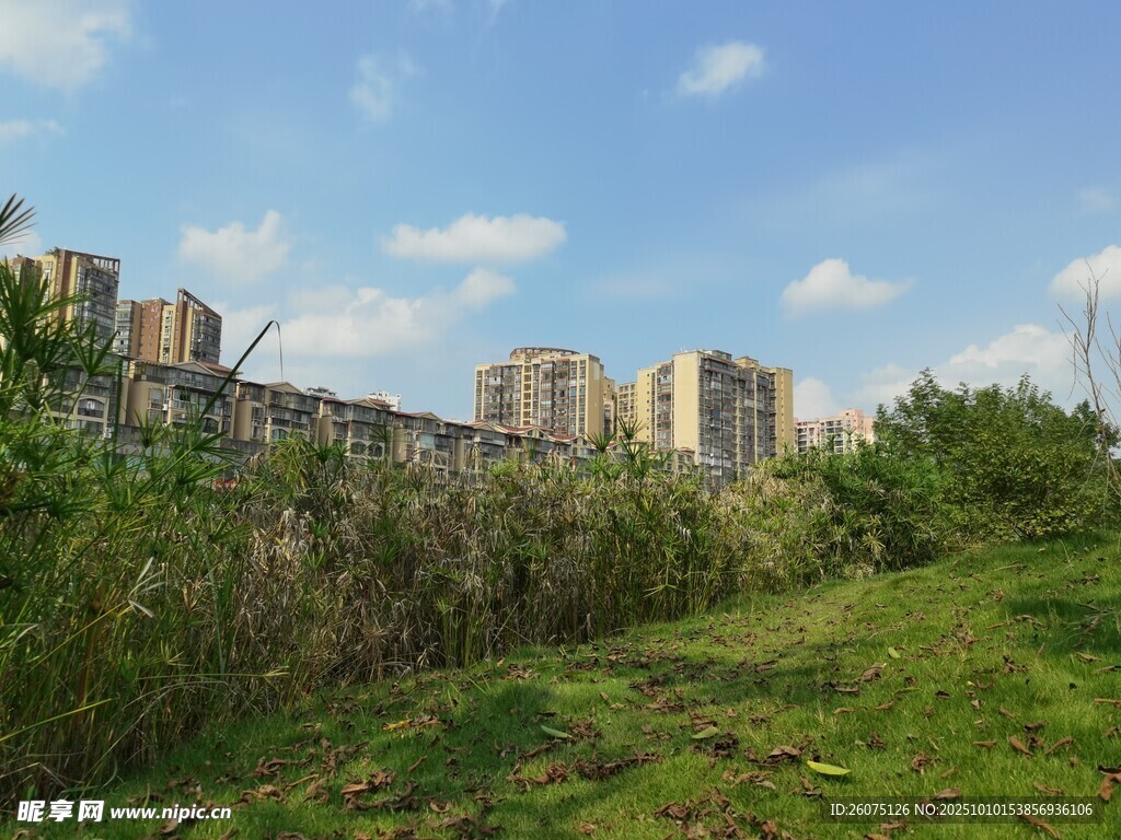 城郊草地與遠(yuǎn)處高樓景觀