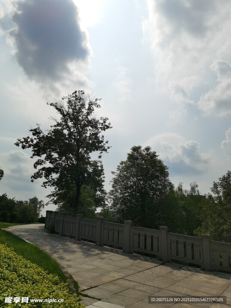 戶外林蔭小道風(fēng)景