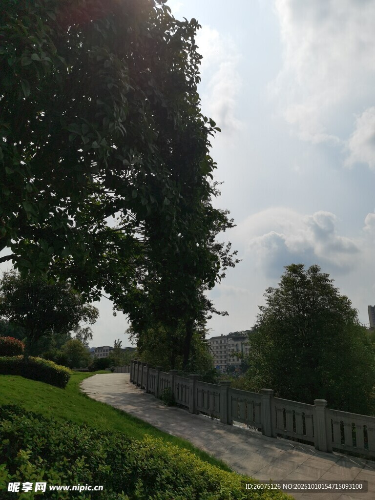 林蔭小道旁的清新景致