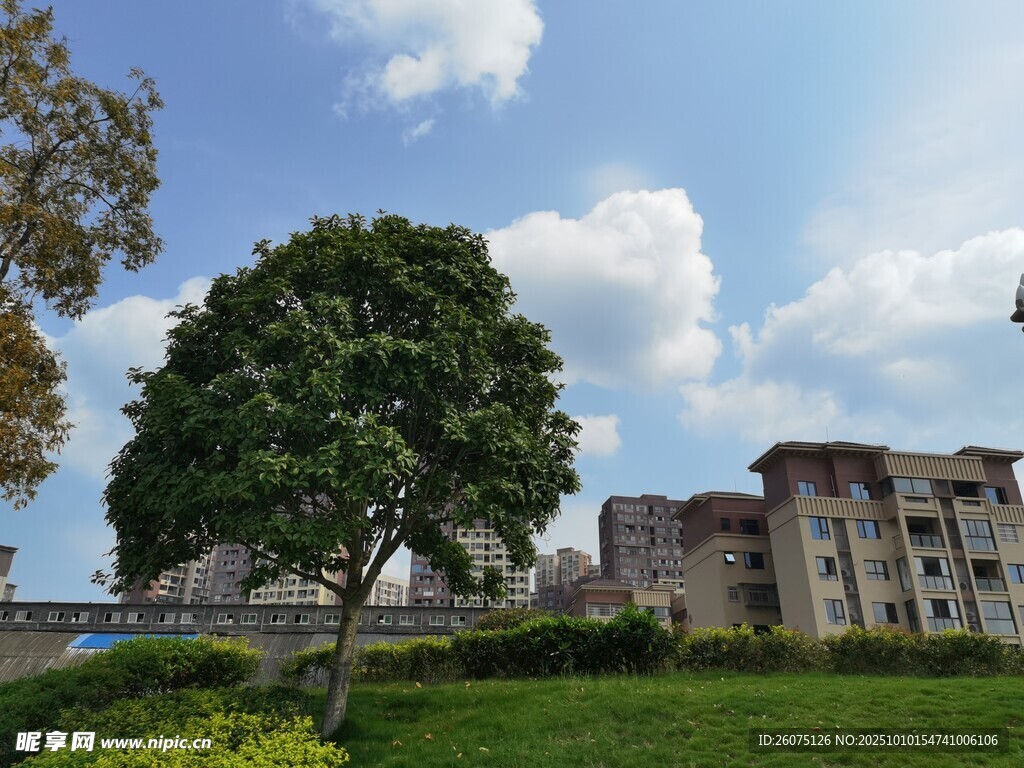 校園綠樹旁的建筑風(fēng)景