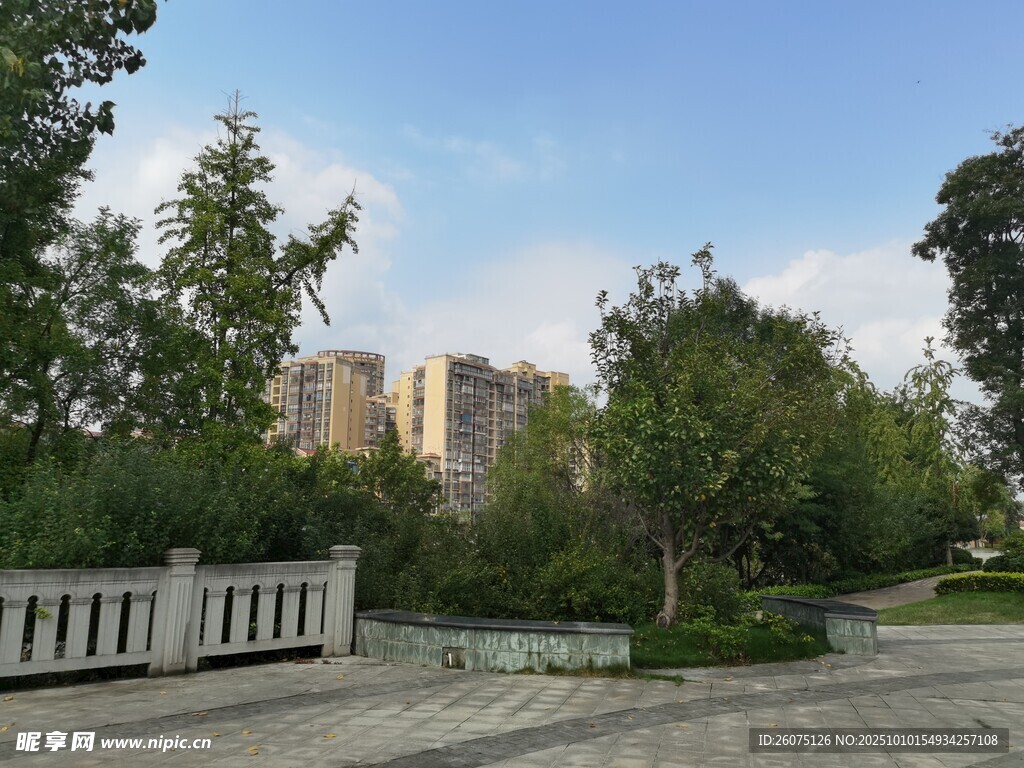 城市中的寧靜園林景觀