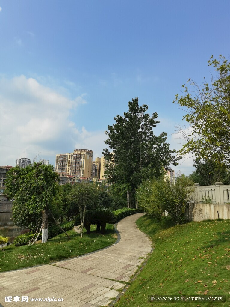 郊外小徑旁的綠樹與藍(lán)天