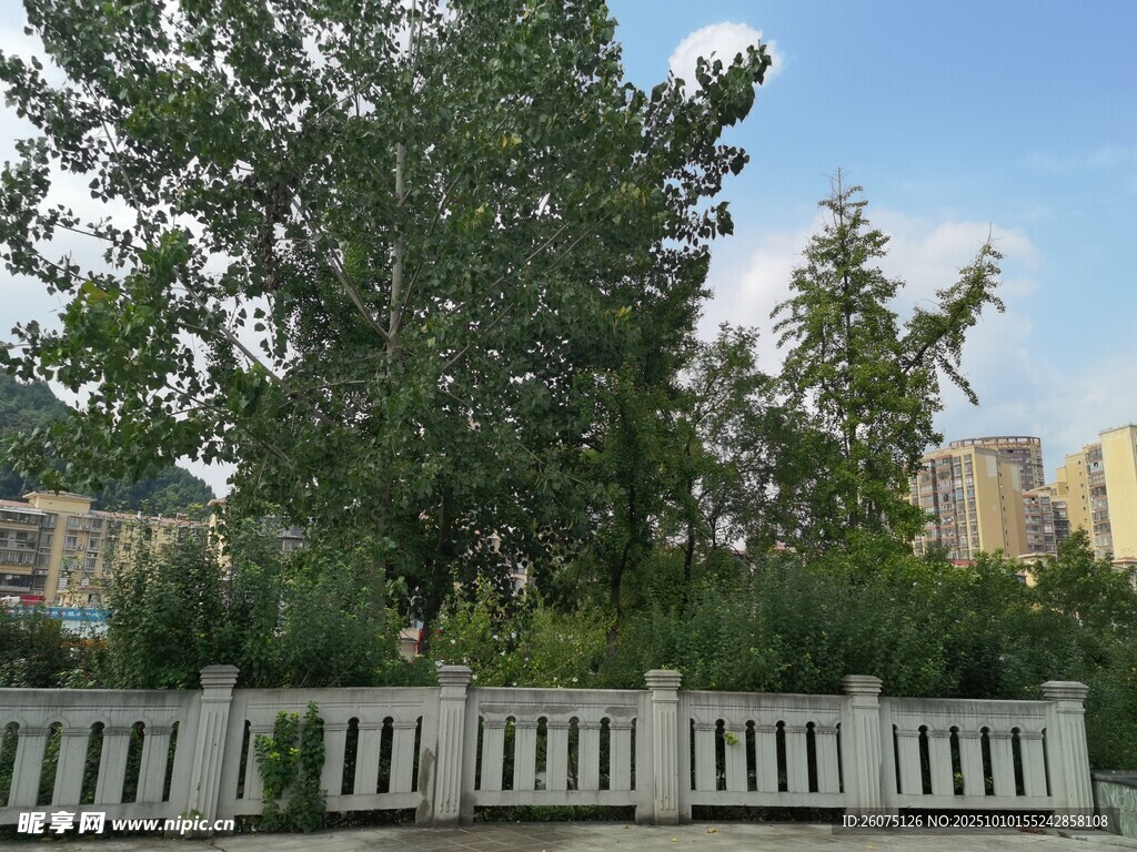 戶外圍欄旁的綠樹景觀