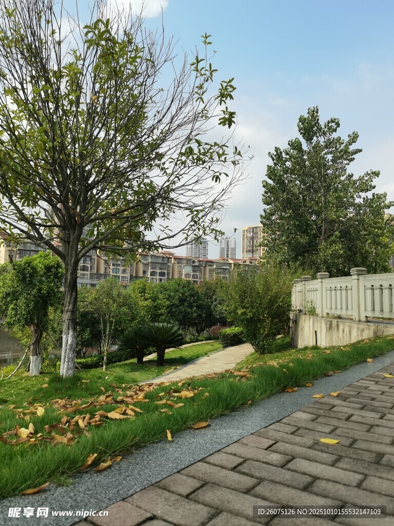 秋日公園小徑風(fēng)景