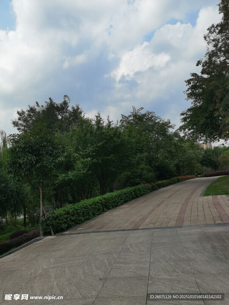 林蔭下的寧靜道路