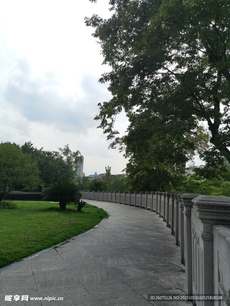 蜿蜒小徑旁的綠意景致