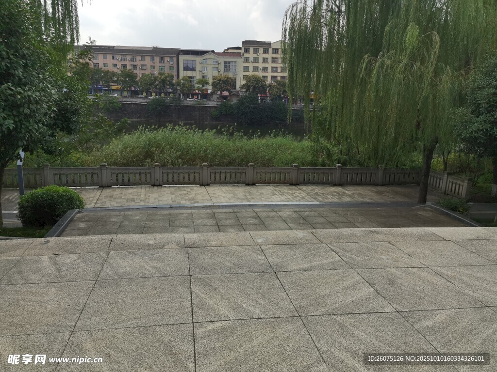 校園空曠石板路與綠植