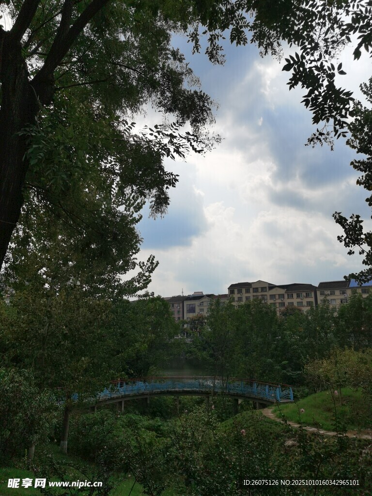 綠樹環(huán)繞下的河畔景致
