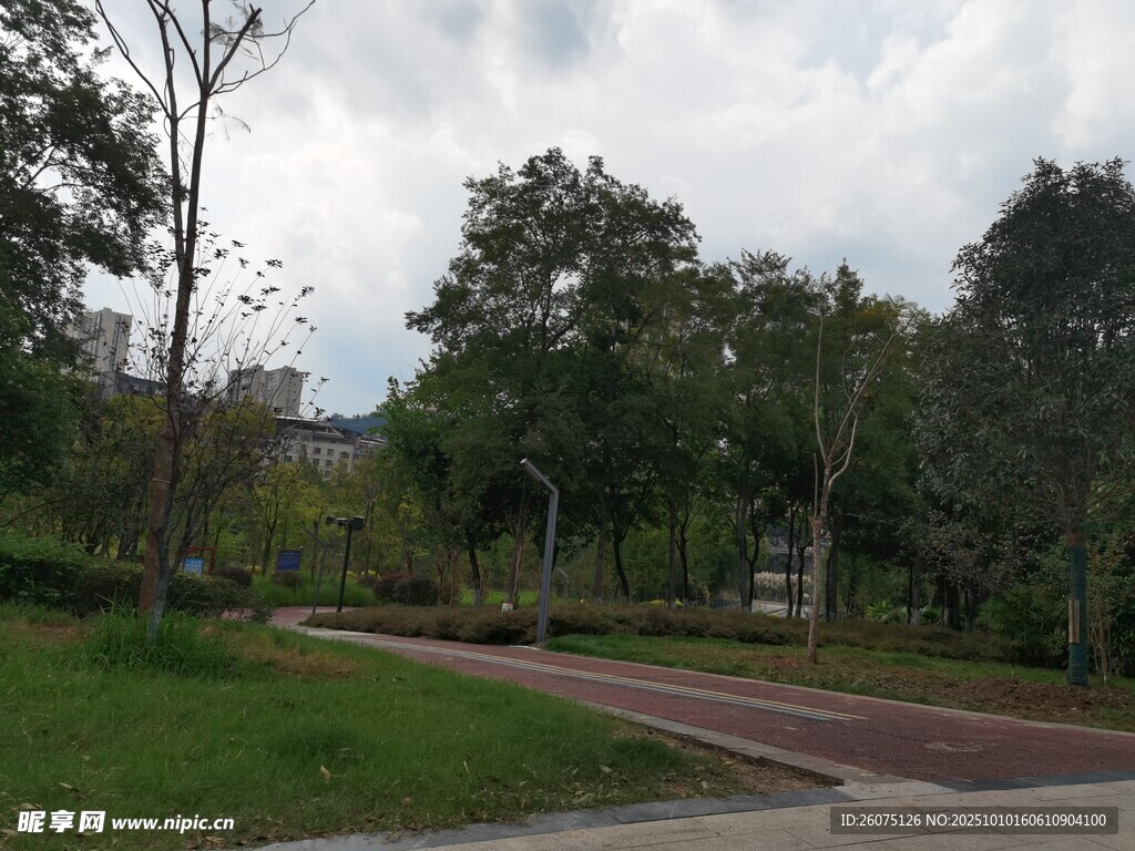 公園中的林蔭小道