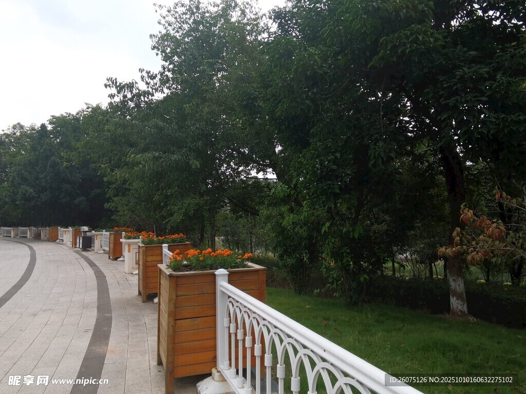 公園中的圍欄與綠樹景觀
