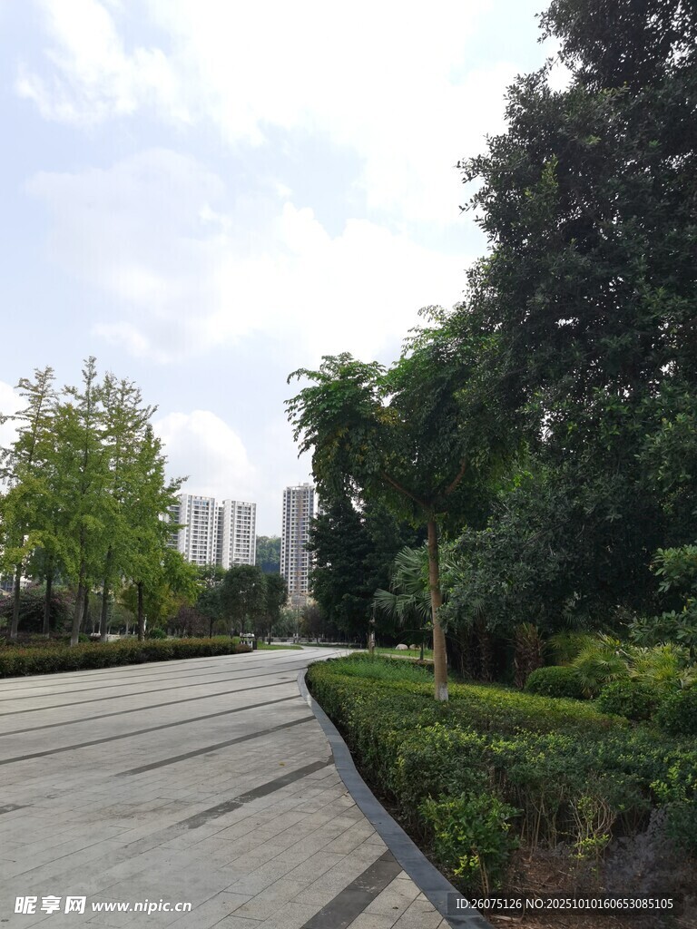 城市中的靜謐綠植景觀
