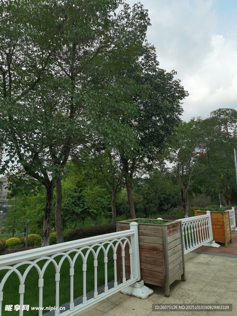 戶外白色圍欄旁的景致