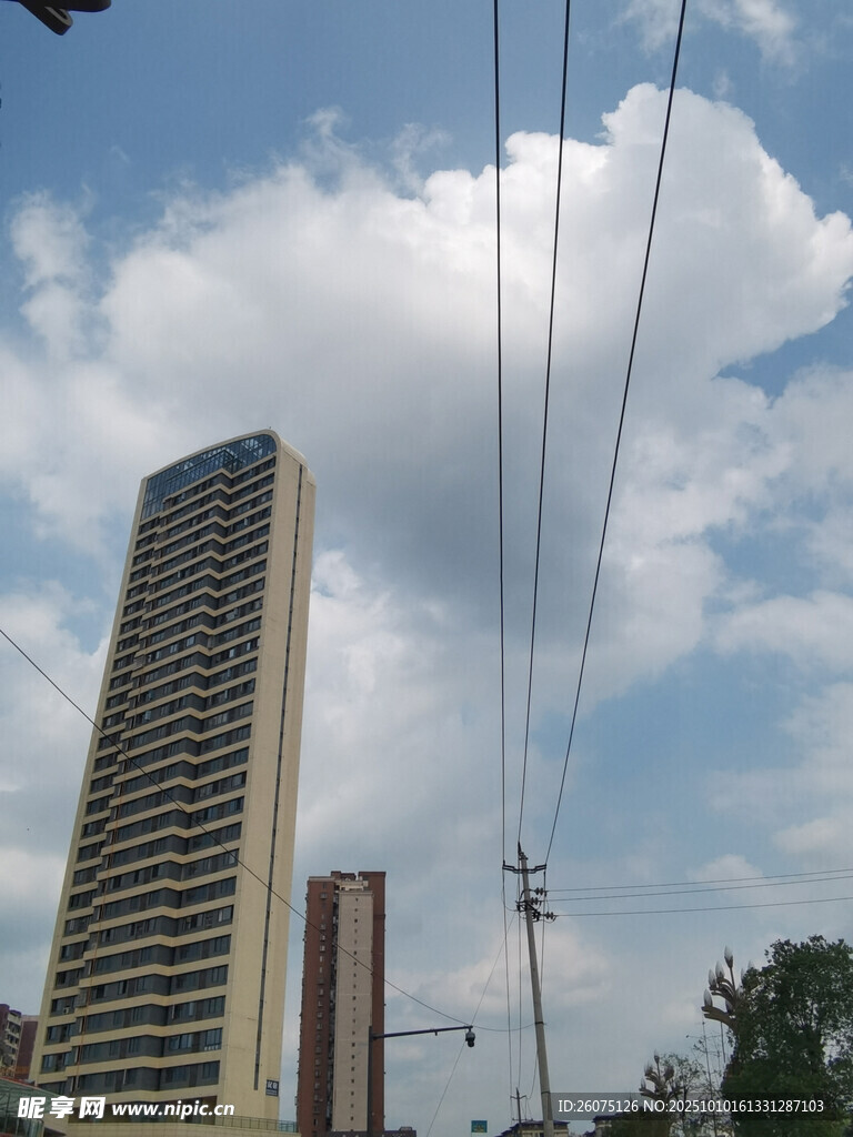 城市高樓與空中電線景觀