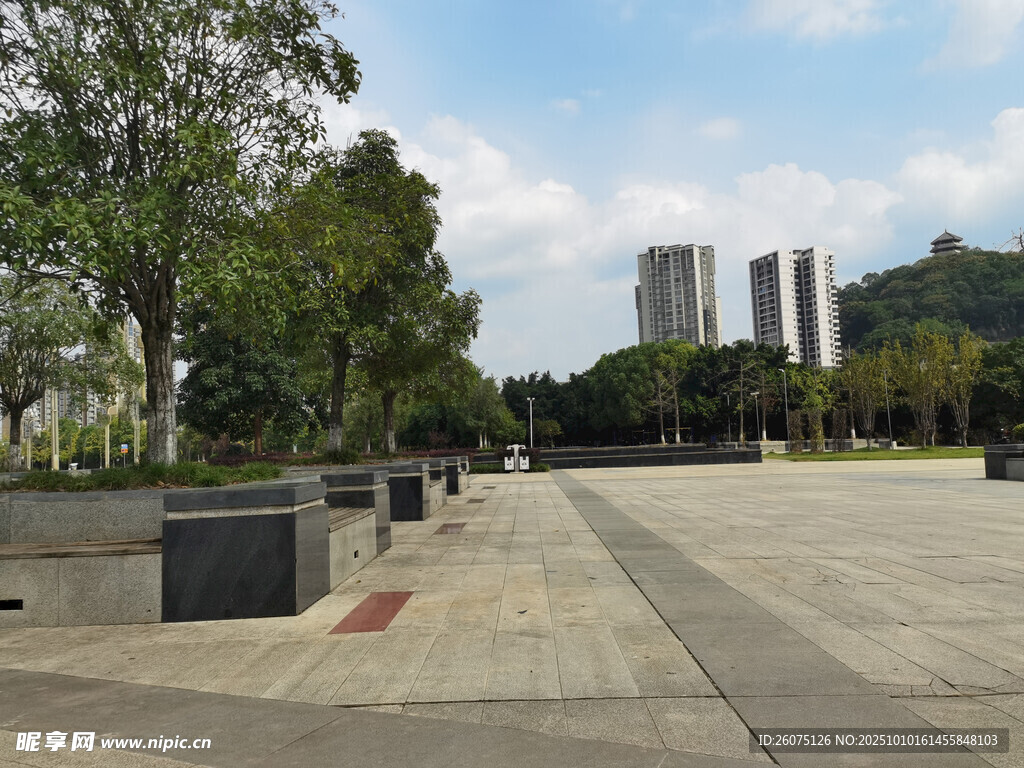 城市開闊廣場(chǎng)與綠樹景觀