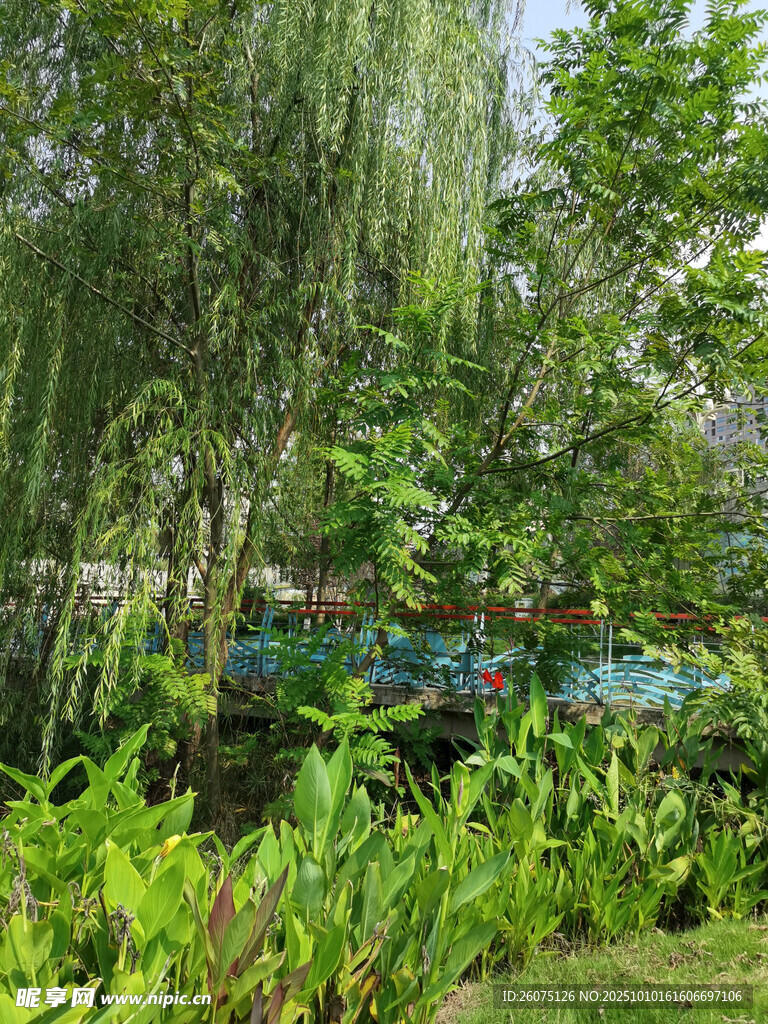 綠意盎然的自然景觀