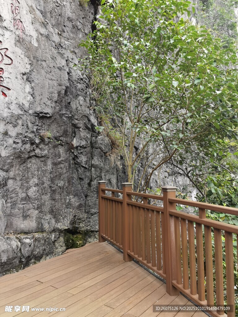 木質(zhì)棧道旁的蔥郁樹木