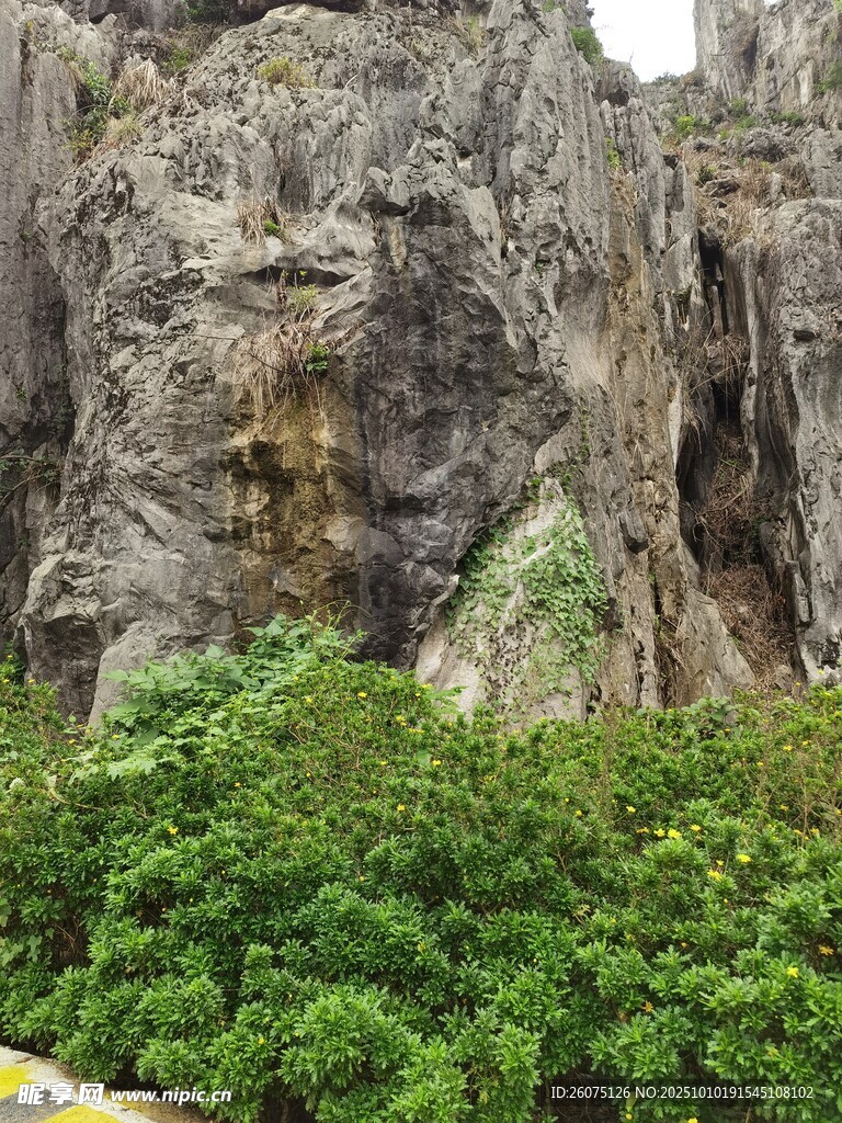 陡峭巖壁下的蔥郁綠植