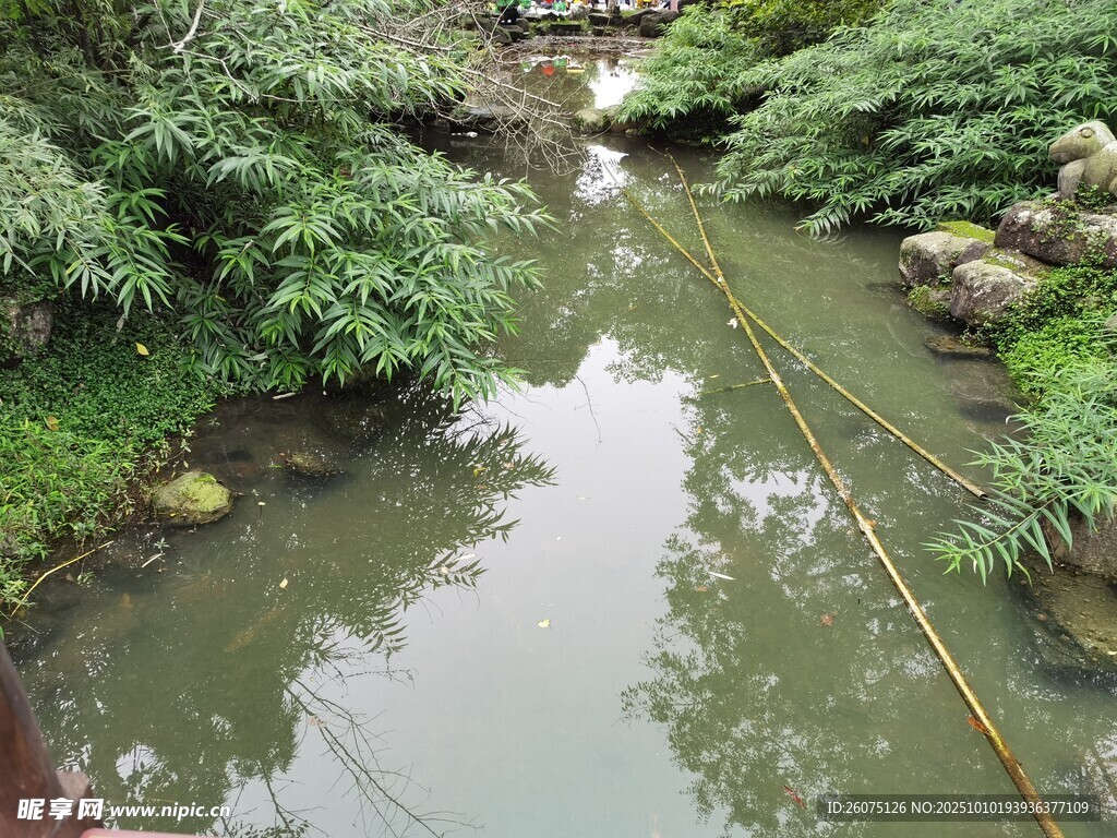 清幽溪邊綠植環(huán)繞之景