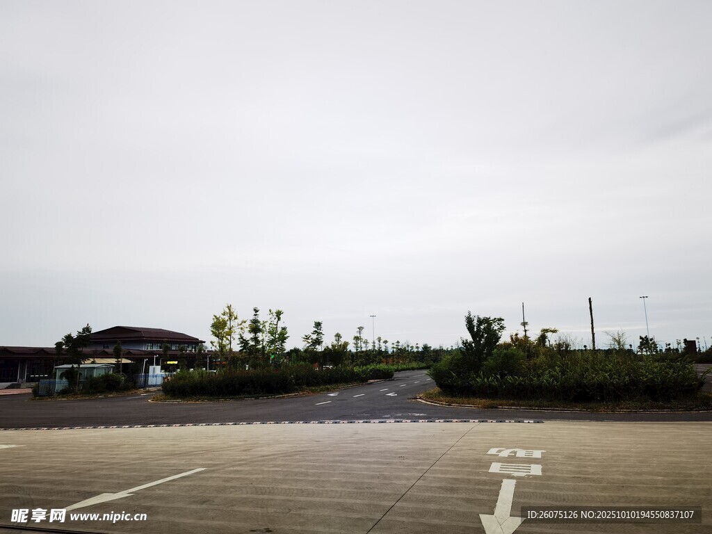 空曠道路與綠植景觀