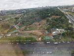城市中綠意盎然的開(kāi)闊地帶