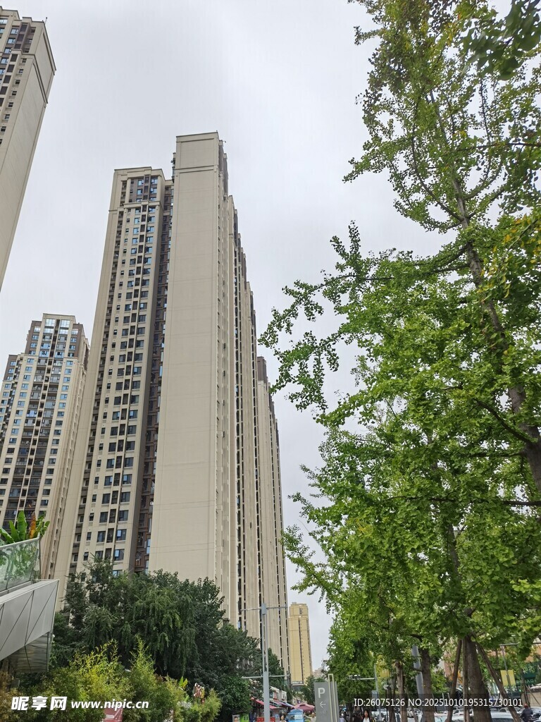 城市高樓與綠樹景觀
