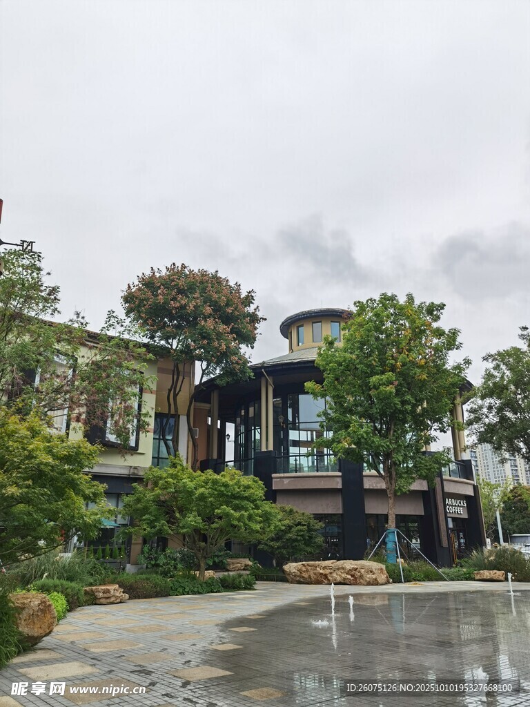 雨中的別致庭院景觀