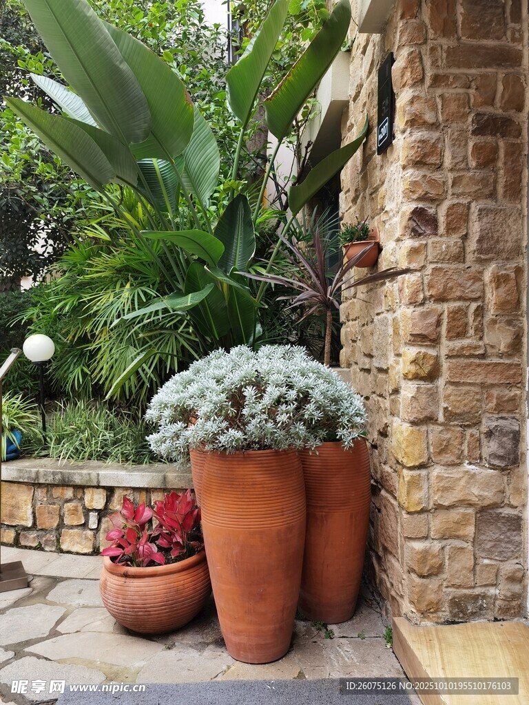 庭院陶盆綠植景觀