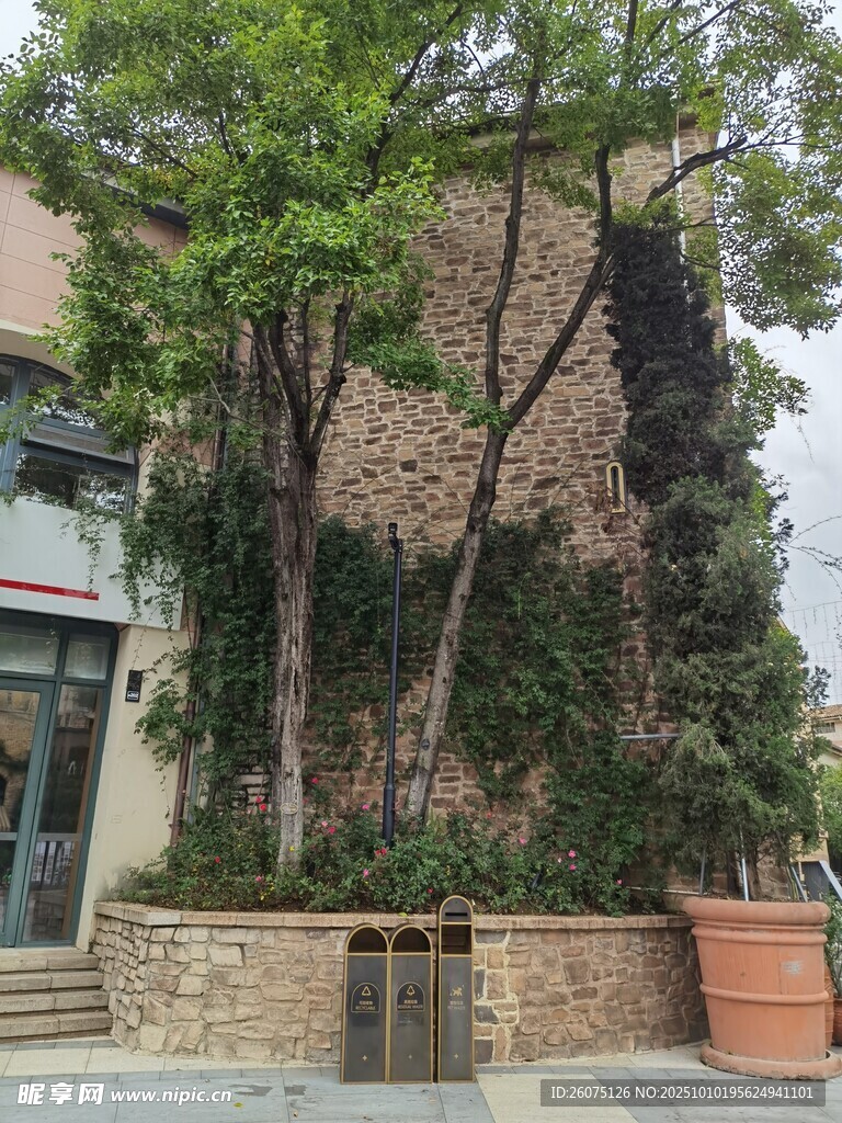 城市角落的綠植景觀