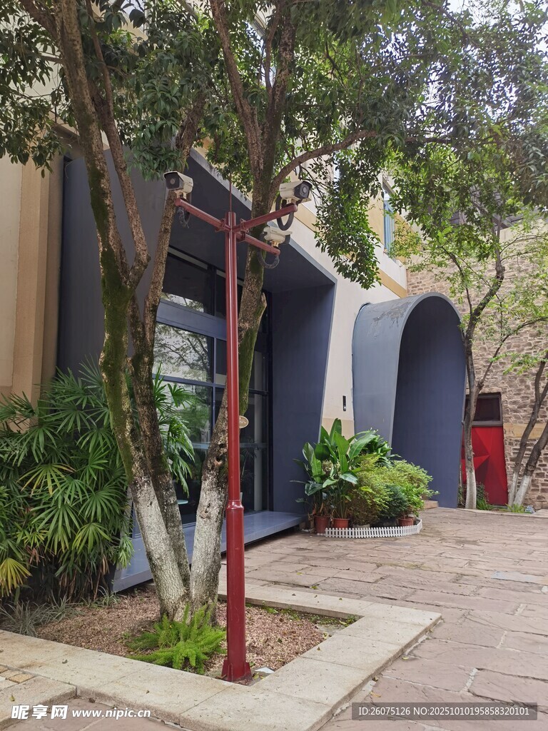 庭院中的特色建筑與綠植