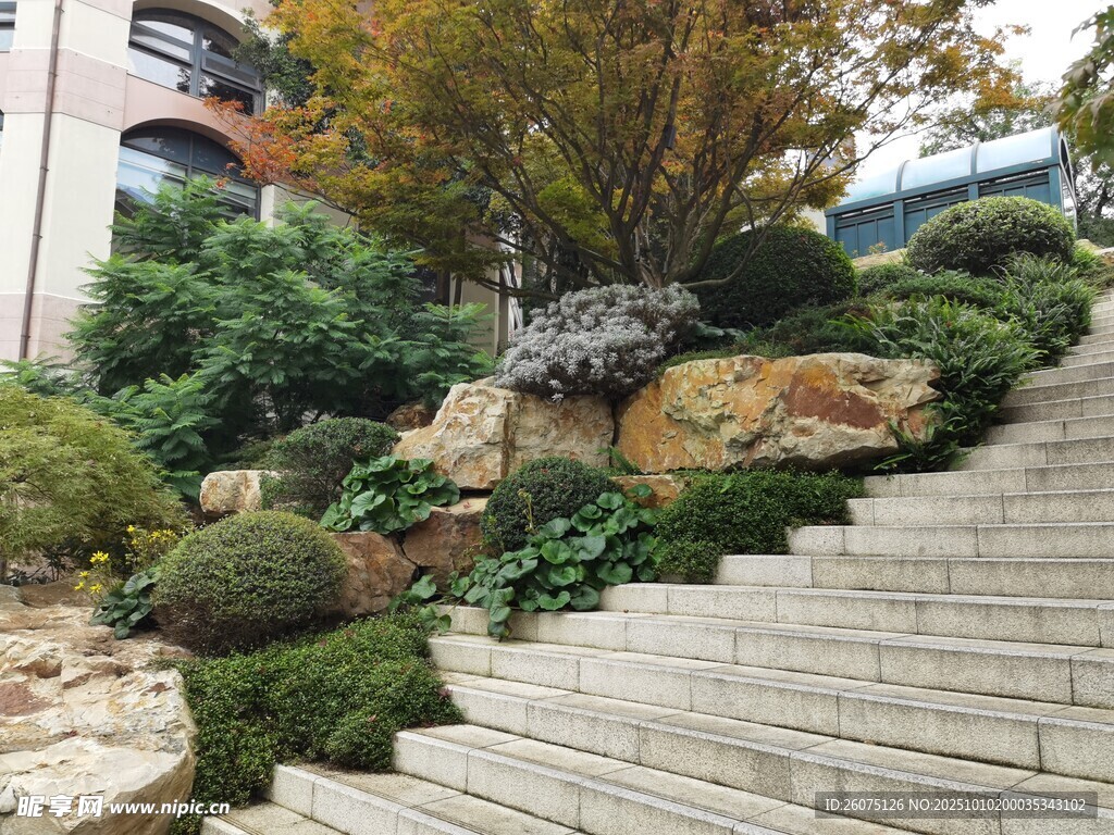 庭院石階旁的綠植山石景觀