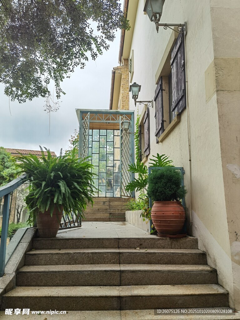 庭院石階旁的綠植景致