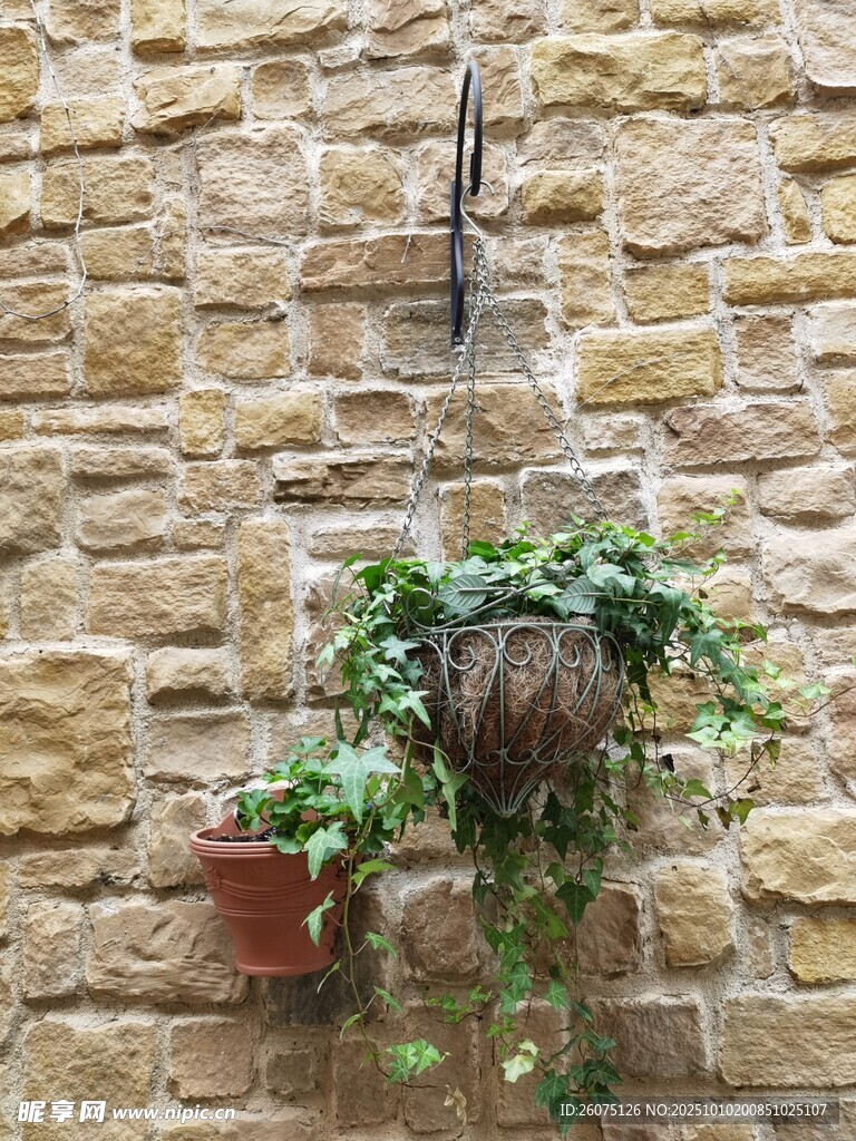 石墻上的懸掛綠植盆栽