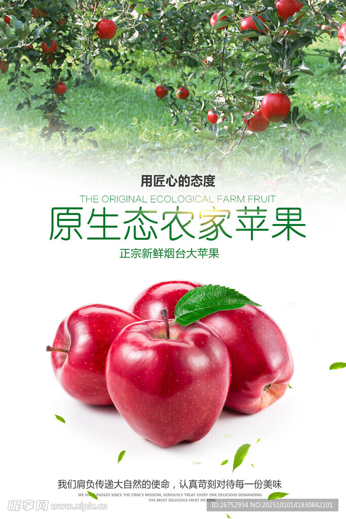 原生態(tài)農(nóng)家蘋果展示