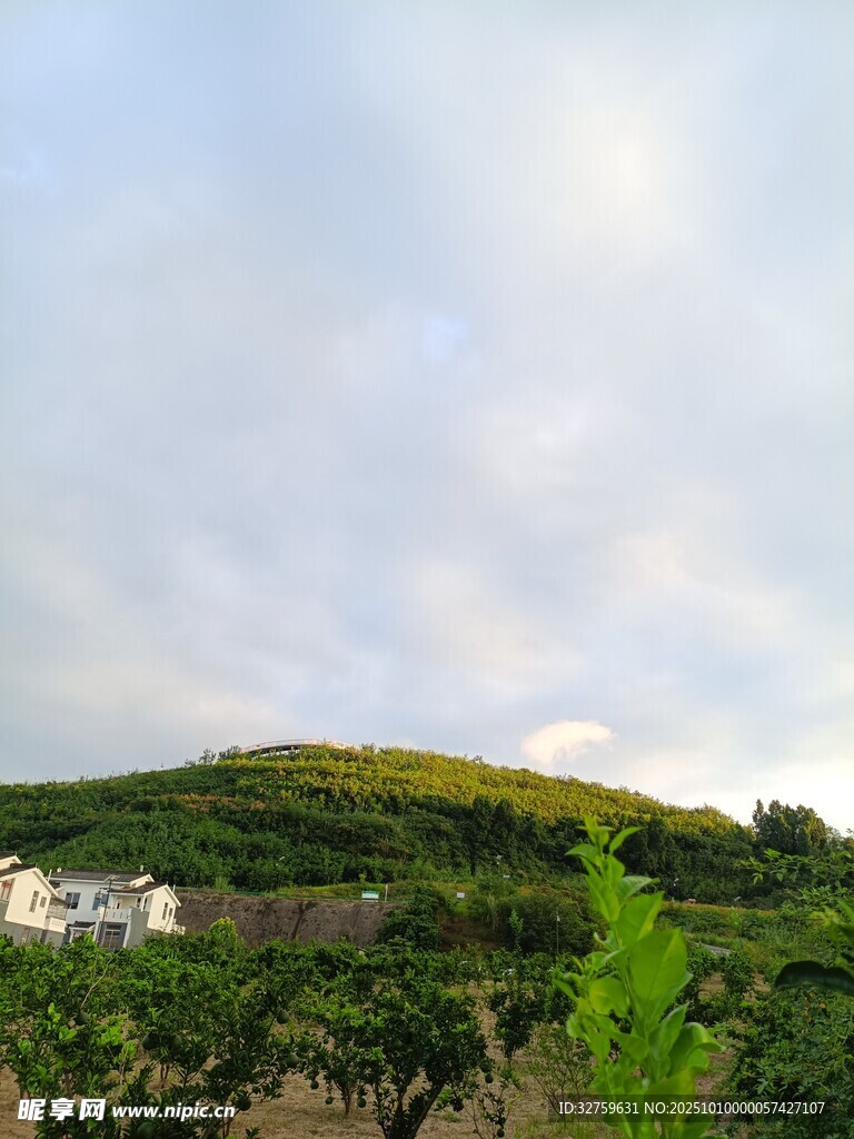 山坡綠意與遠(yuǎn)處建筑景觀