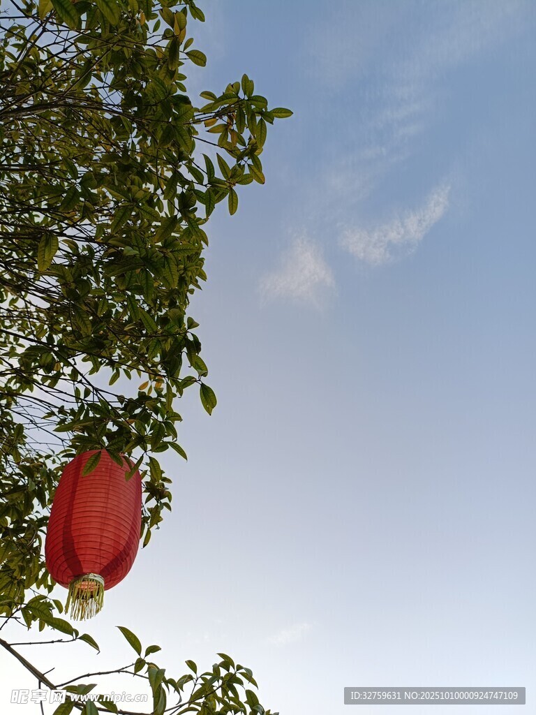 枝頭紅燈籠 