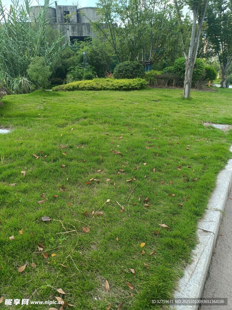 戶外翠綠草坪景觀