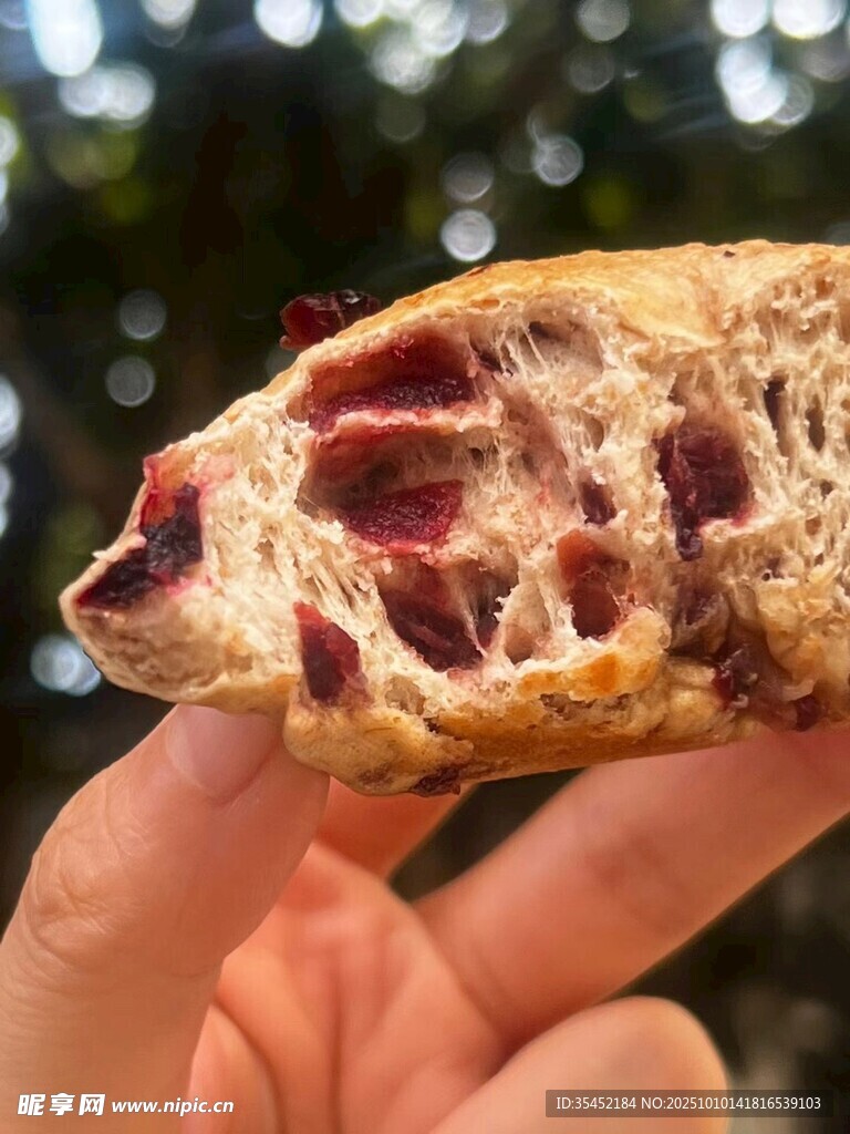 蔓越莓面包
