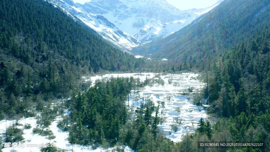 雪山森林間的壯美河谷