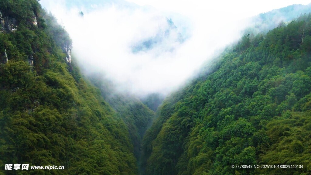 云霧繚繞的翠綠山谷