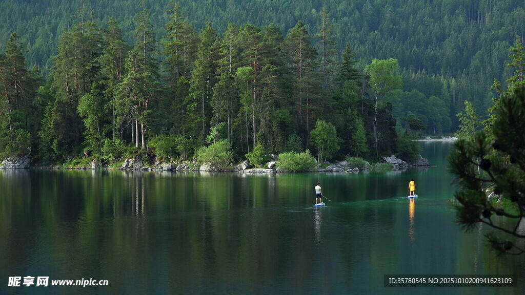 寧靜湖畔森林美景