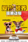 愛(ài)心領(lǐng)養(yǎng)流浪動(dòng)物