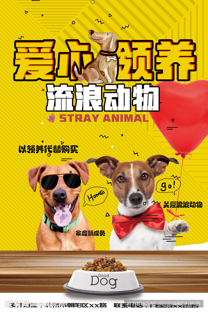 愛(ài)心領(lǐng)養(yǎng)流浪動(dòng)物