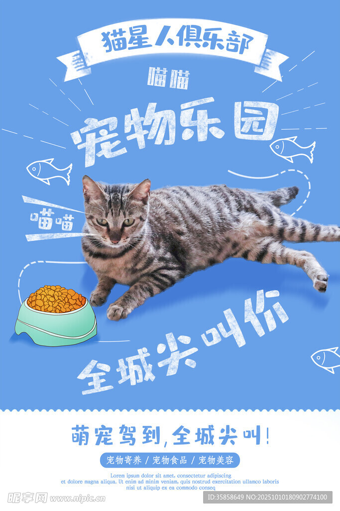 寵物樂(lè)園貓咪大酬賓活動(dòng)