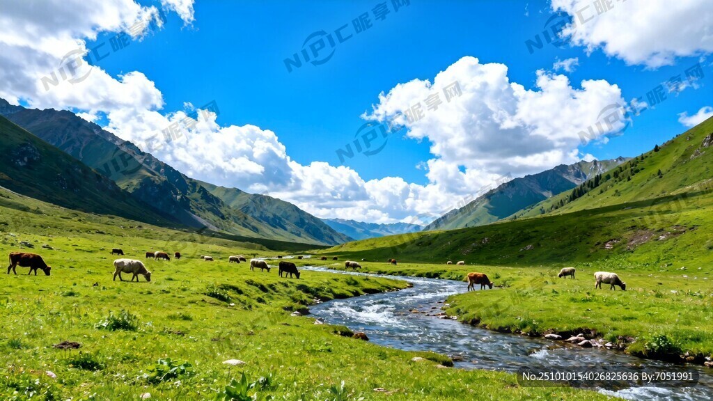藍(lán)天白云綠草地 有山有水有牛羊