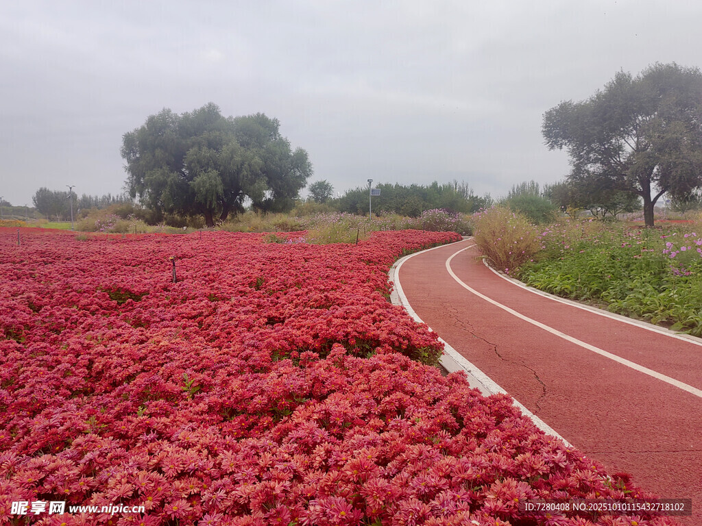紅花開(kāi)滿跑道旁的美景