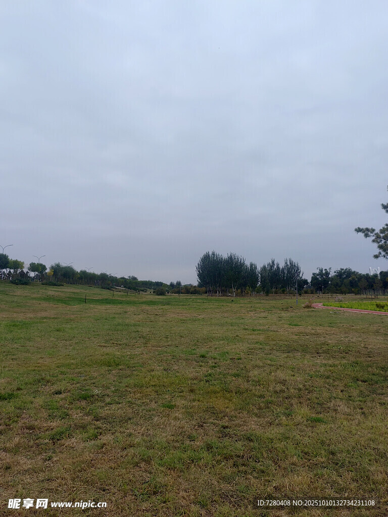空曠草地與遠(yuǎn)處樹木景觀