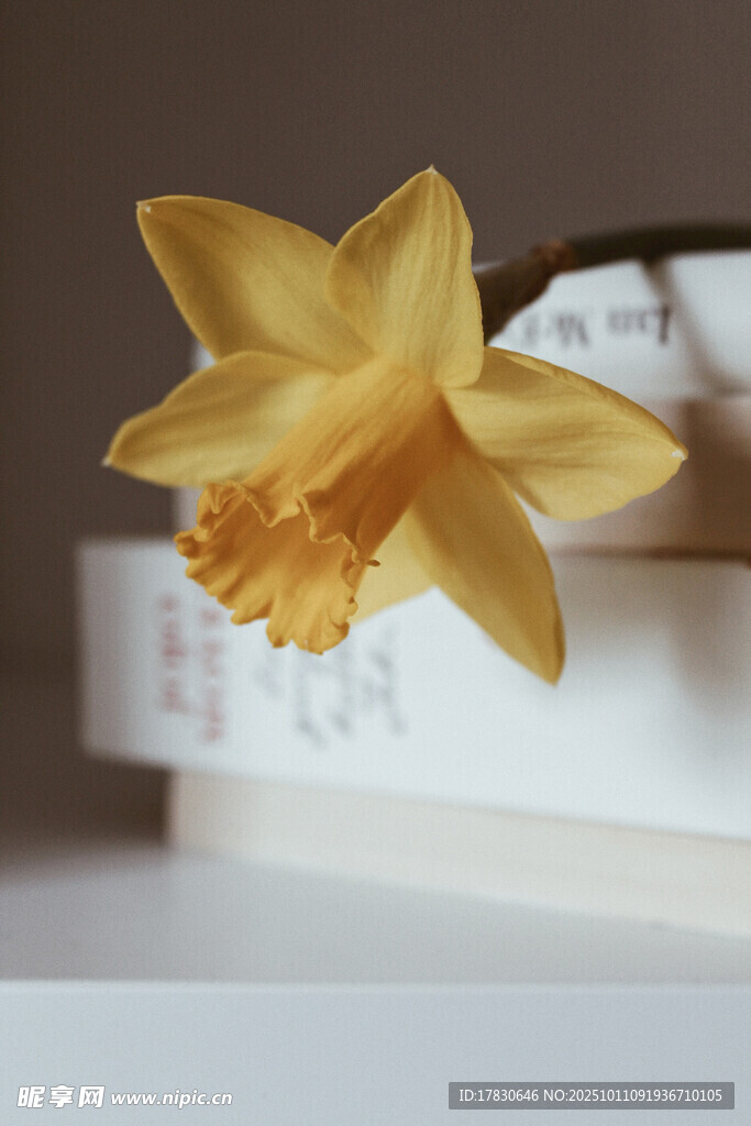 水仙花